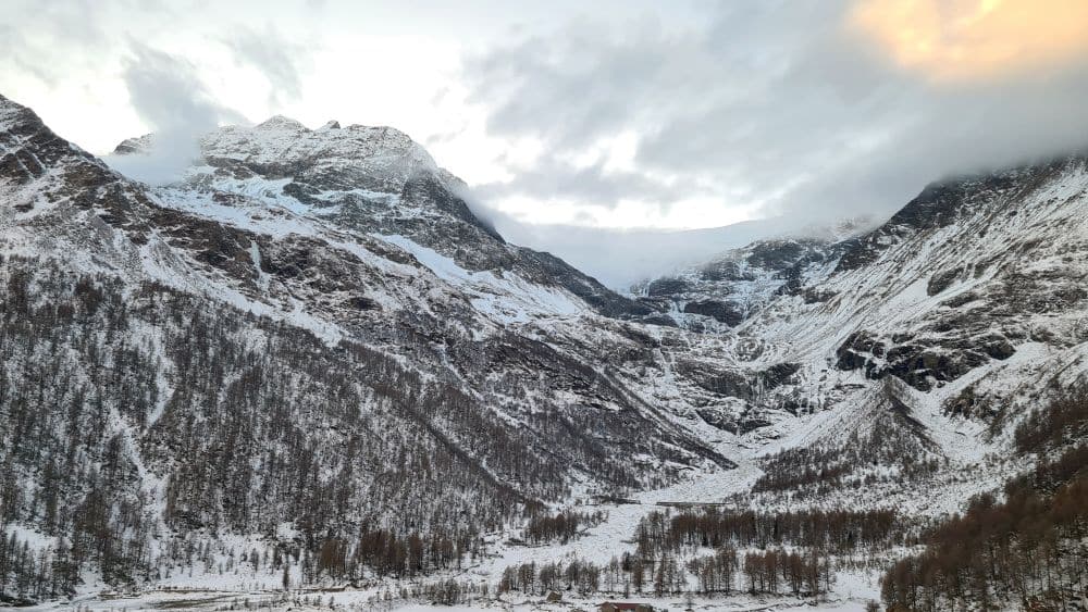 Mountains dusted with snow, trees on the lower parts, bare rock on the upper parts wherever there's not snow.