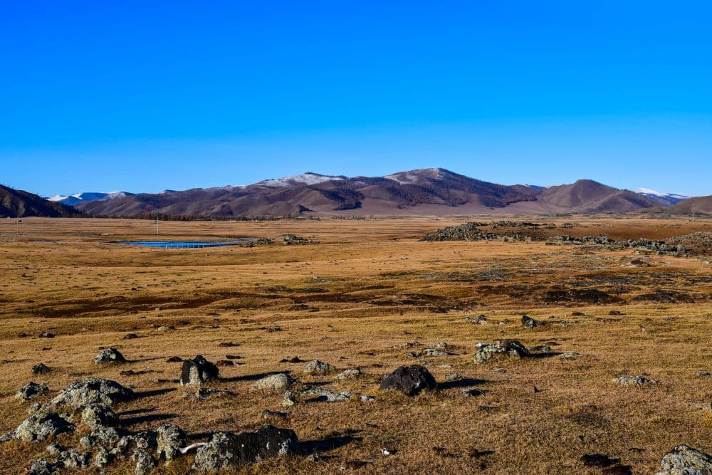 A broad grassy plain with mountains in the distance.