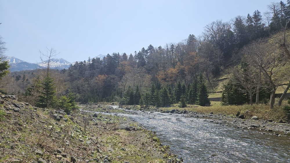 A rocky stream with forested banks.