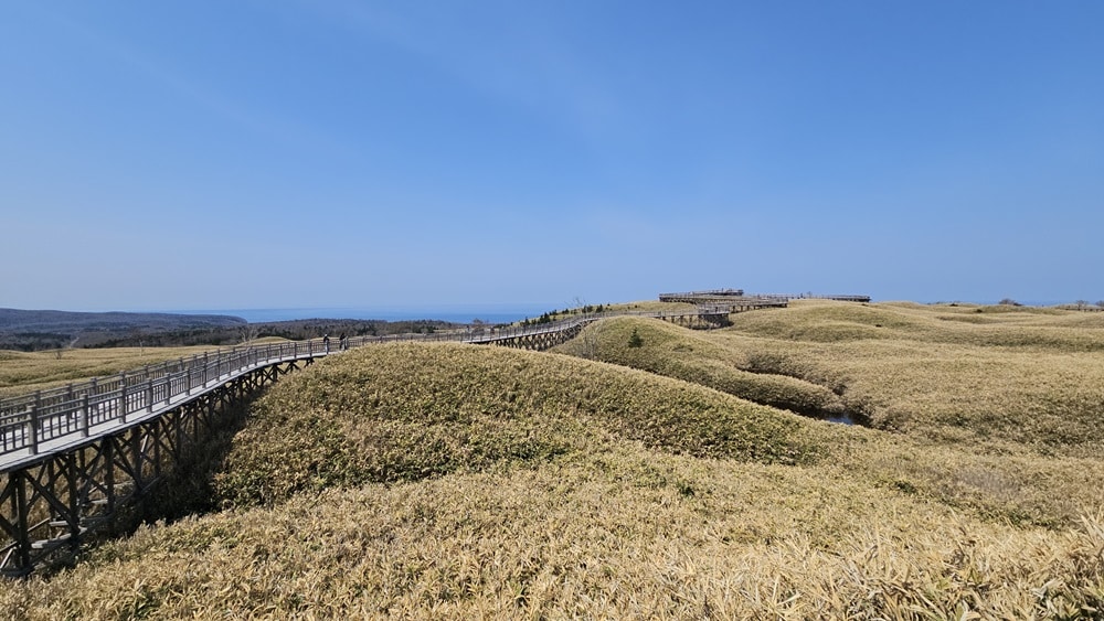 A grassy, hilly area, with a wooden walkway crossing it into the distance.