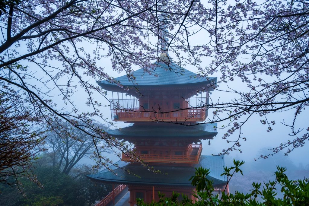 A tall pagoda rises from the trees, framed in the foreground by cherry blossoms.