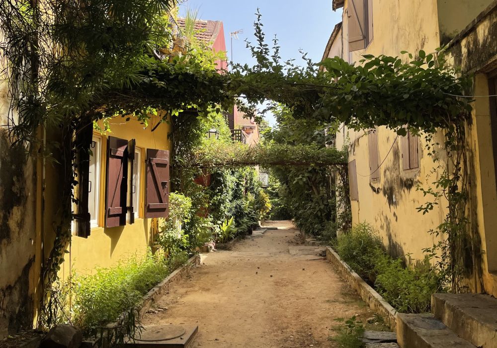 A street lined with two-story colonial-era houses, with vines trained across the road.