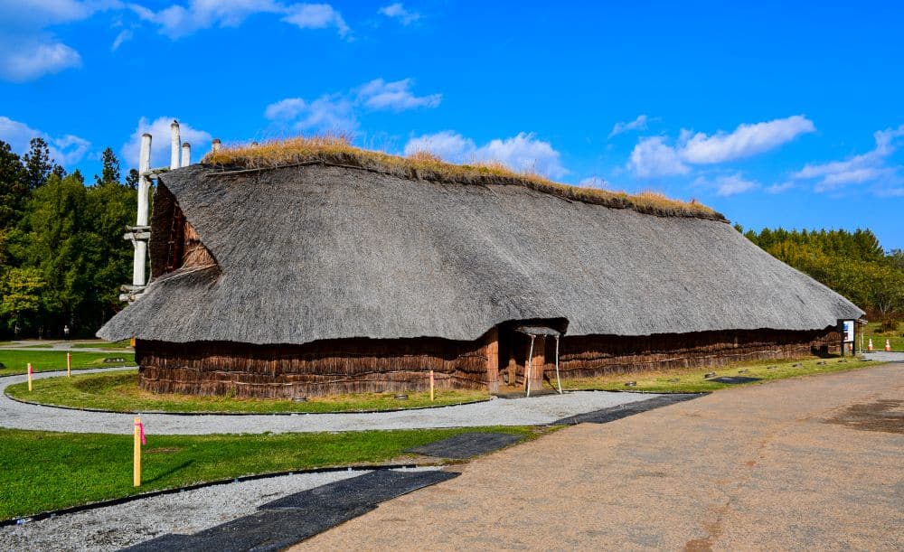 A long low building of wood with a roof of thatch that comes quite low down to the ground.