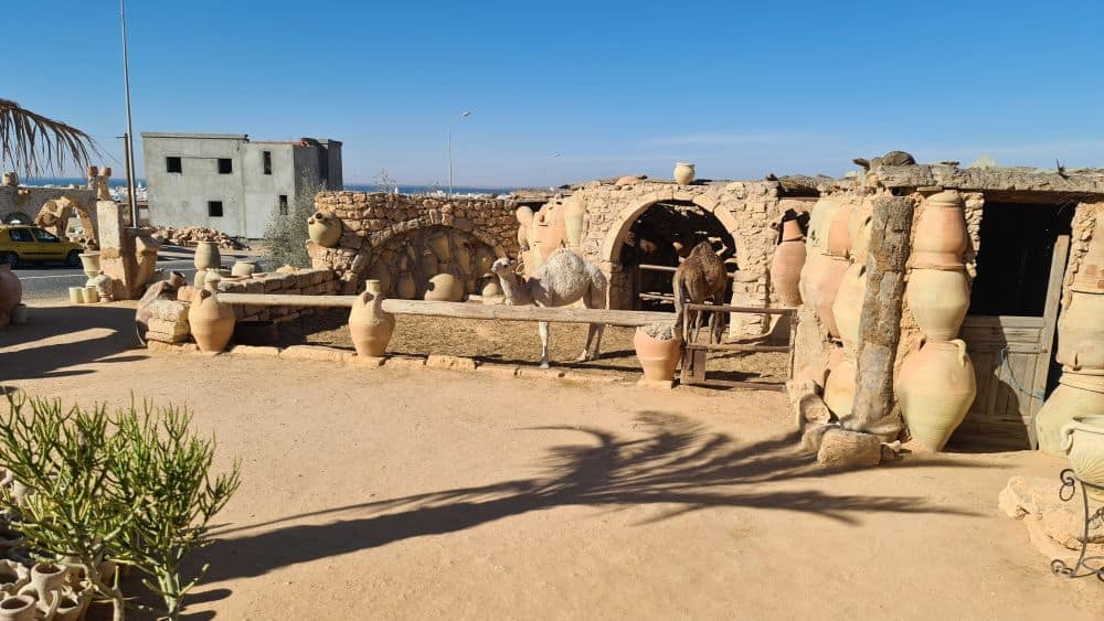 Camels stand in a fenced area in front of a low building that has large pottery containers embedded in its walls.