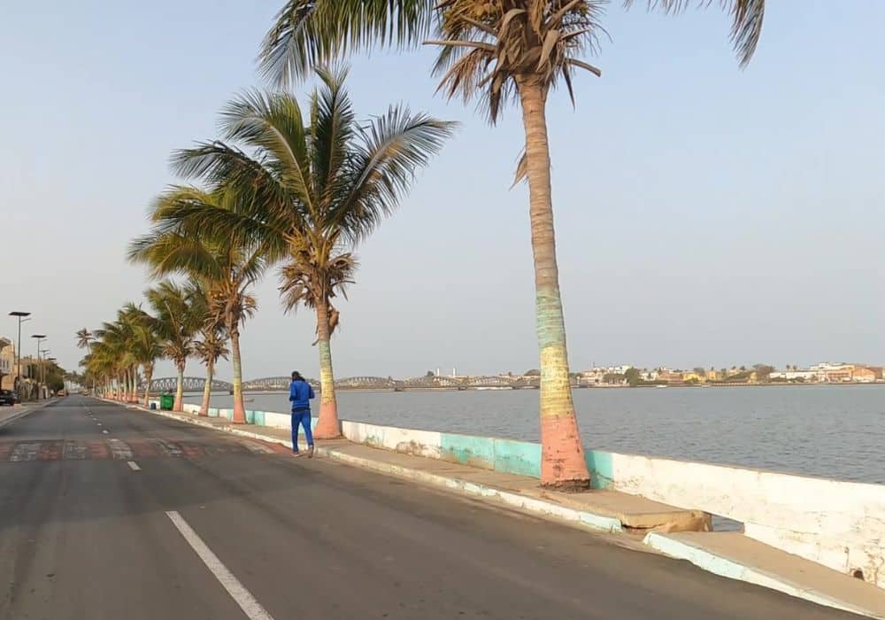 A street along the water lined with palm trees. A long metal bridge visible in the background.