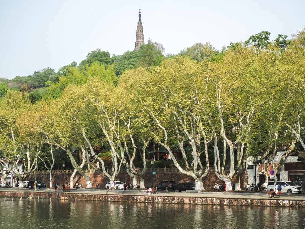 A hill covered with trees rises from the edge of the lake; a road is visible along the shoreline and a tower peeks out from the top of the hill.