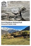 Text: Great Himalayan National Park, Himachal Pradesh, India. Images: above, lizards; below, a view of the mountains.