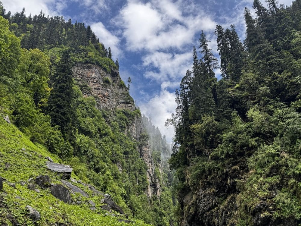 Looking along a gorge with sheet cliffs on the left and forest on the right.