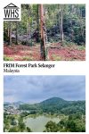 Text: FRIM Forest Park Selangor, Malaysia. Images: above, inside the forest; below, a few from the Skywalk.