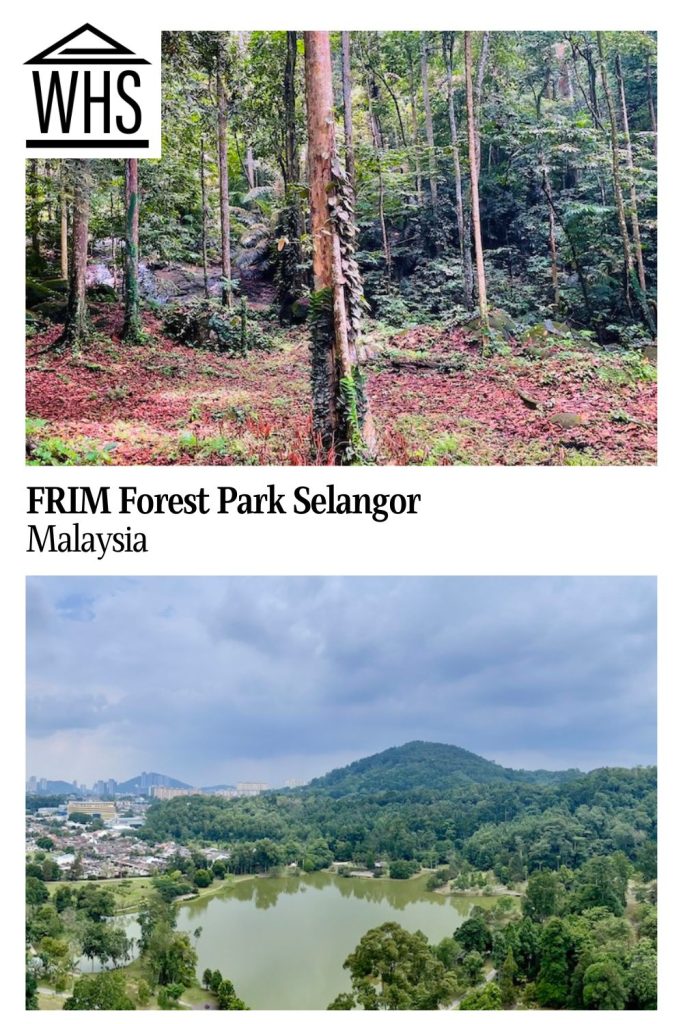 Text: FRIM Forest Park Selangor, Malaysia. Images: above, inside the forest; below, a view from the Skywalk.