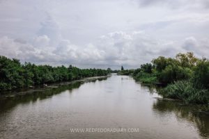 A river through wetlands in Colchic Rainforest and Wetlands.