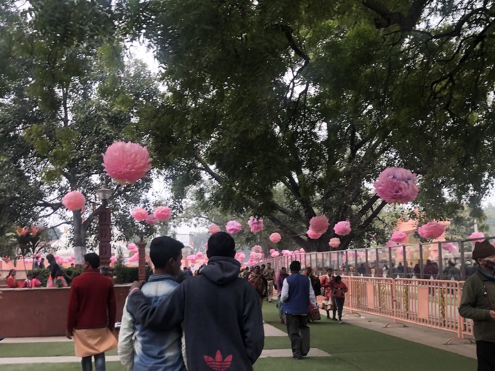 People walking in a garden along a fence with a large tree in the background.