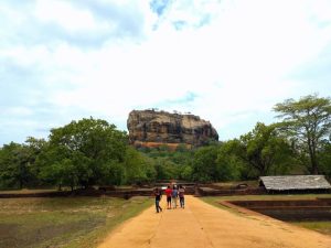 View of the rock looking down a road toward it, rising in the distance where the Ancient City of Sigiriya sits on the top.