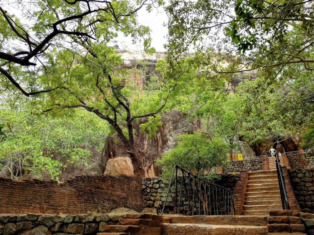 Some of the ruins and a stairway, partly obstructed by the trees growing on them.