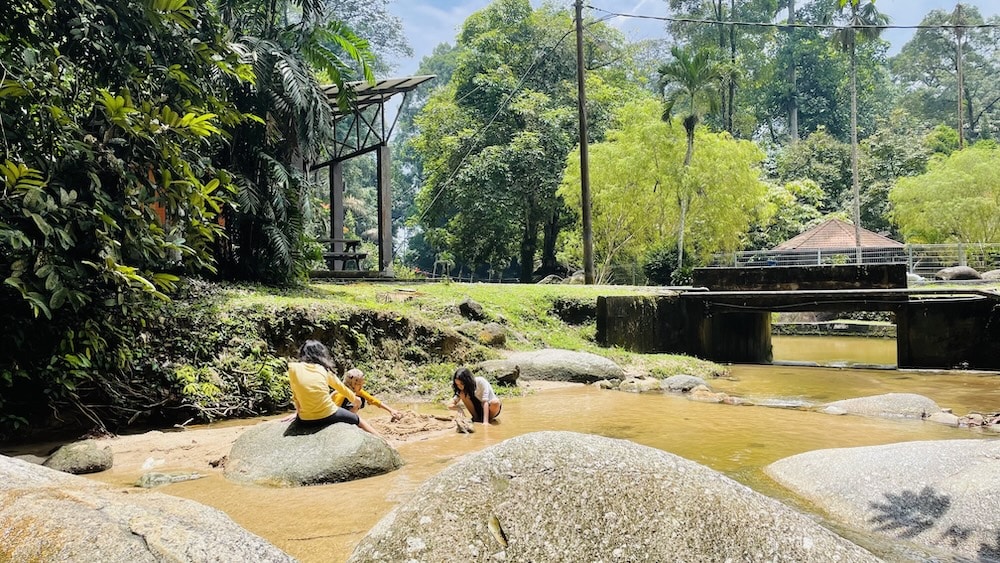 A stream in the woods, with a few people wading in it.