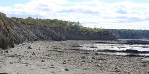 View along a small part of Joggins Fossil Cliffs: a cliff along a beach.