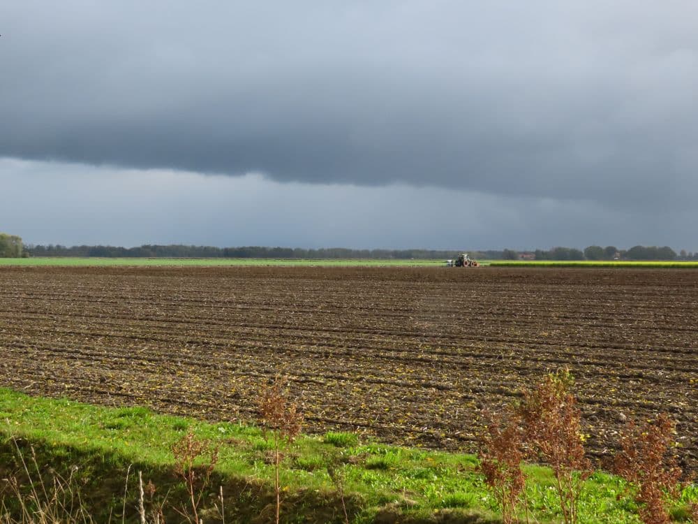 A large field, already harvested, with a tractor in the distance.