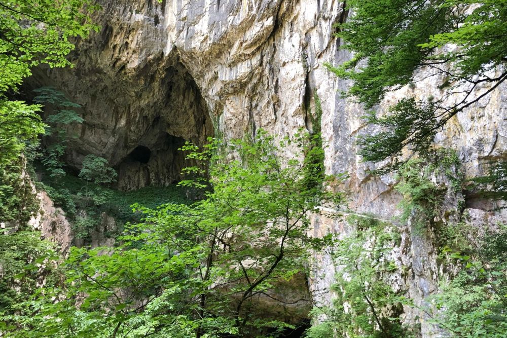 The entrance to a cave in a rock cliff.