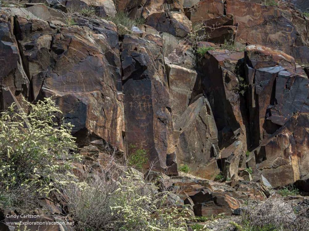 Irregular face of a cliff with a few carved figures visible.