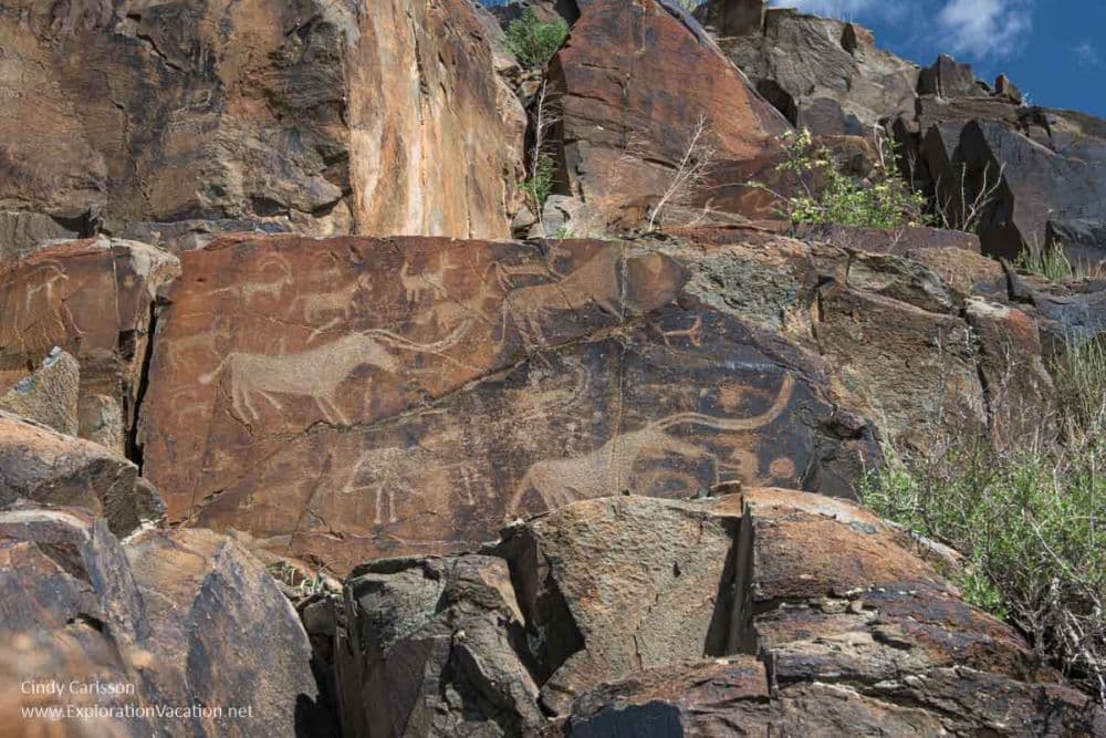 A large flat rock below a cliff has carvings of various animals, perhaps antelopes.