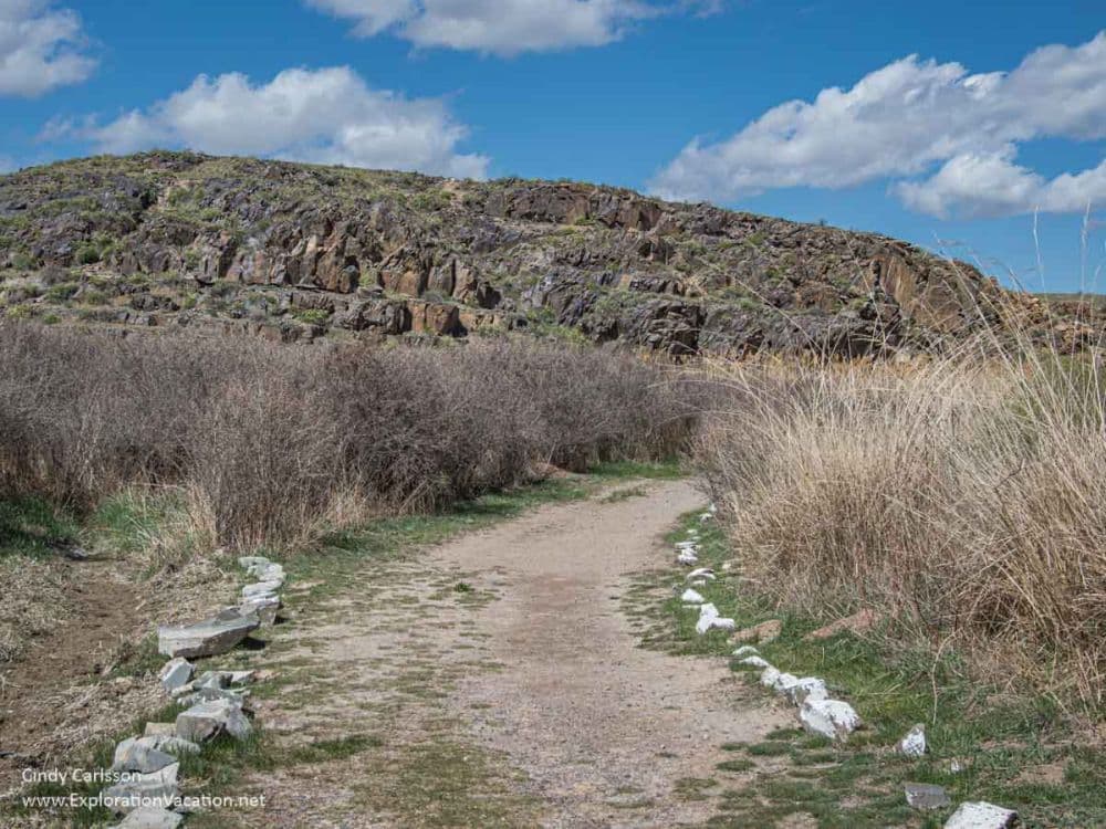 A wide dirt path with grass on either side and rocky cliffs ahead. Petroglyphs of Tanbaly.