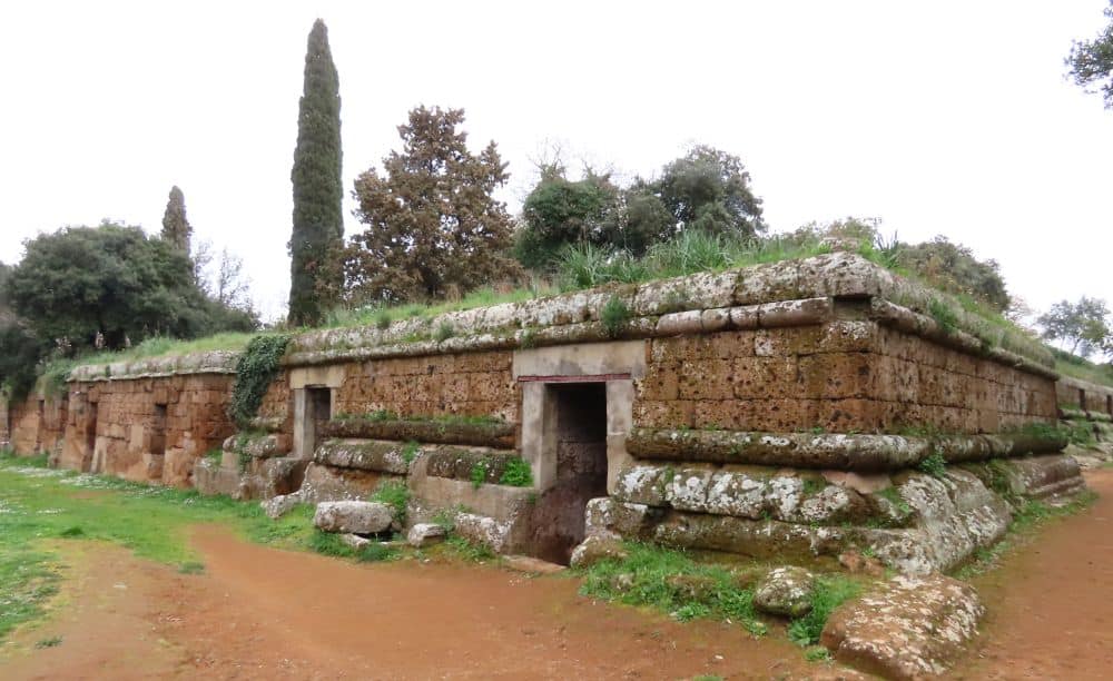 Low stone structure in a straight line with a right-angled corner. The long side evenly-spaced doors along it. The roof is grass-covered.
