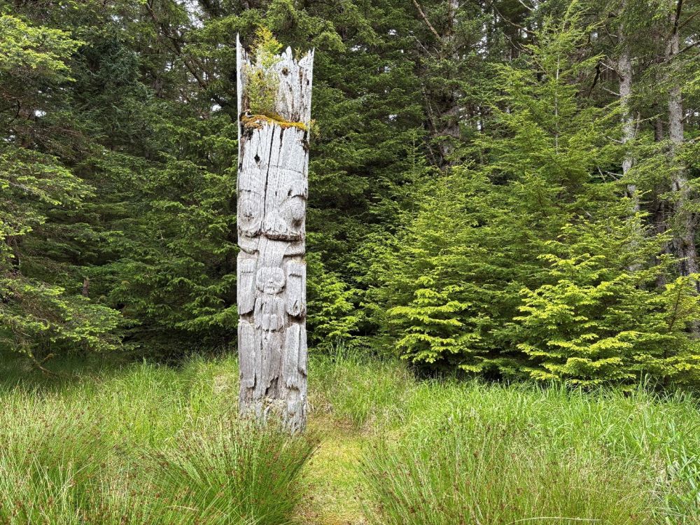 A single pole, with animal faces and a human figure carved into it, and plants growing off its top.
