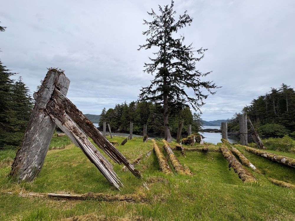 A rectangular foundation visible in the grass, edged with log logs, and a few logs laid over it. A thicker pole stands to the left, propped up with beams.