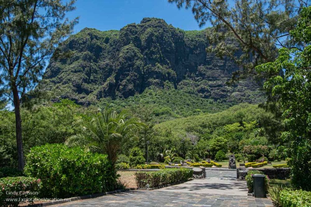 A road with a garden ahead, with the mountain as backdrop.