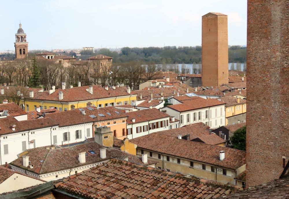 View over red-roofed buildings with a few towers protruding above the roofs.